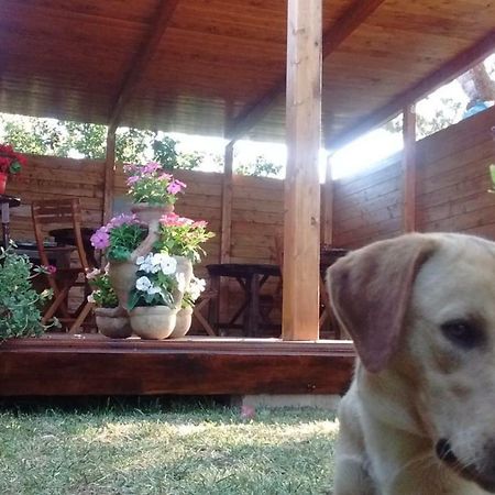 La Contea Bed and Breakfast SantʼAnna Arresi Buitenkant foto