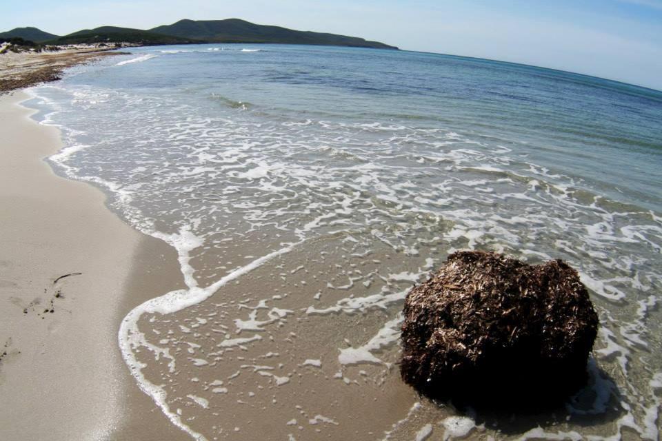 La Contea Bed and Breakfast SantʼAnna Arresi Buitenkant foto