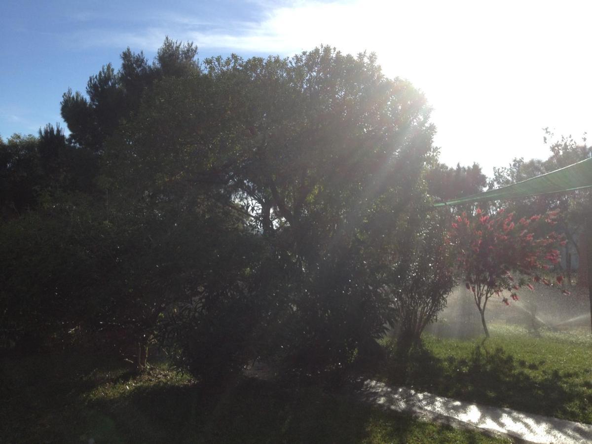 La Contea Bed and Breakfast SantʼAnna Arresi Buitenkant foto