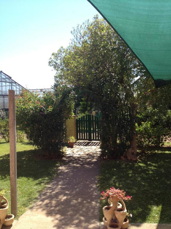 La Contea Bed and Breakfast SantʼAnna Arresi Buitenkant foto
