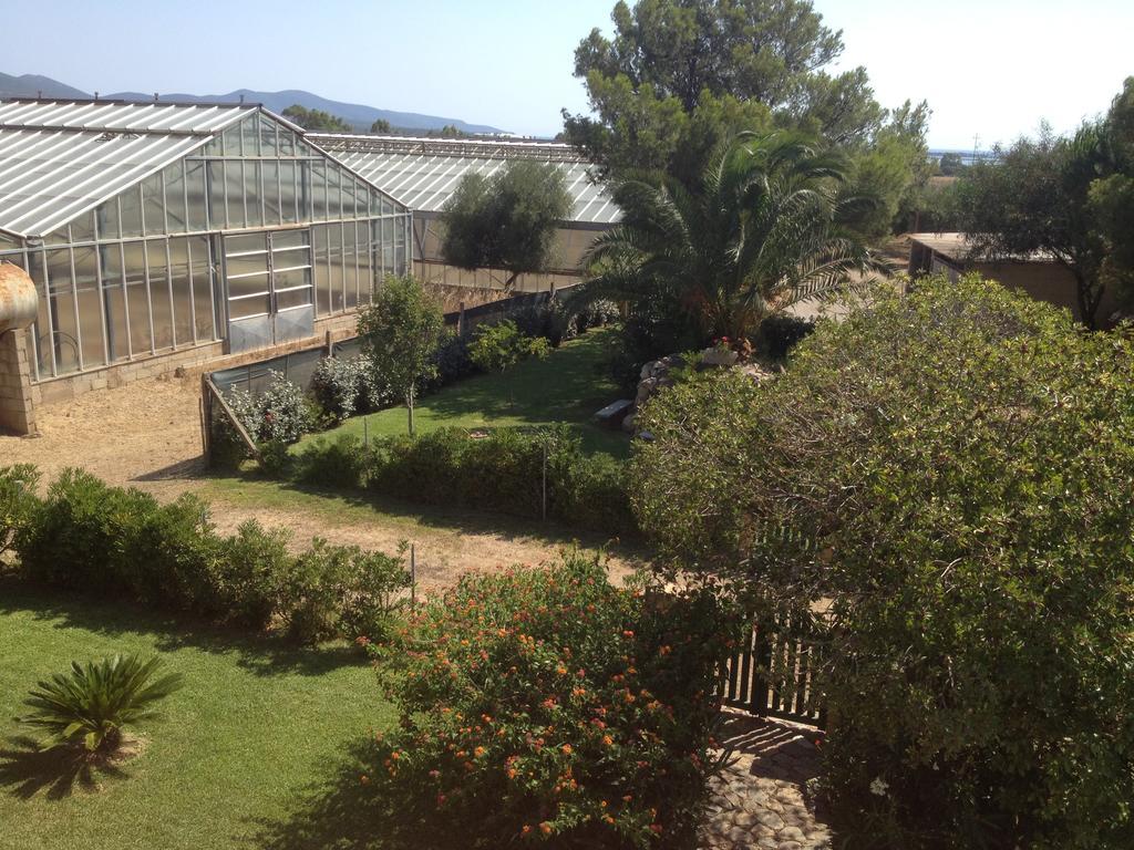 La Contea Bed and Breakfast SantʼAnna Arresi Buitenkant foto