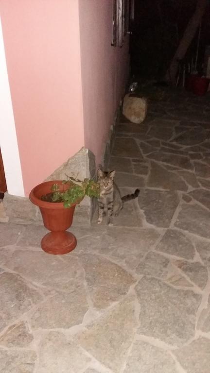 La Contea Bed and Breakfast SantʼAnna Arresi Buitenkant foto