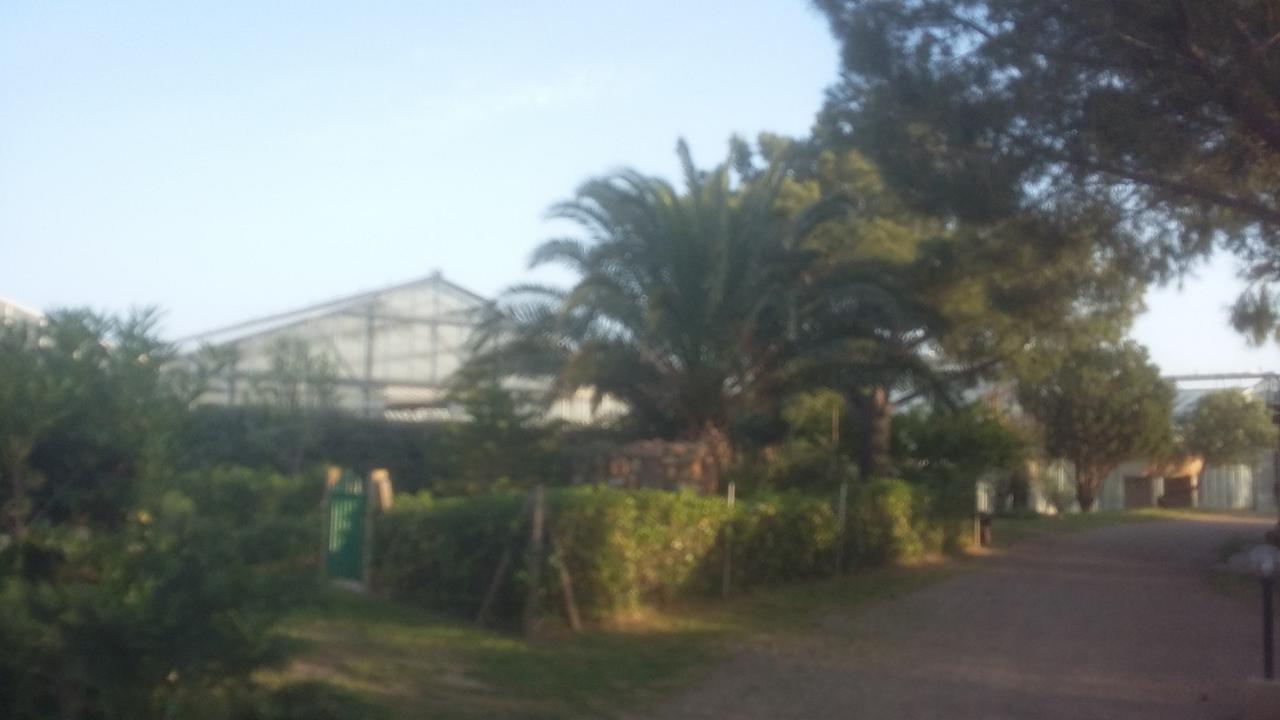La Contea Bed and Breakfast SantʼAnna Arresi Buitenkant foto