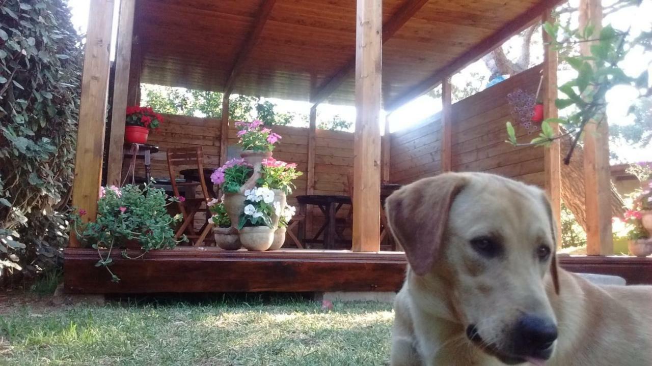 La Contea Bed and Breakfast SantʼAnna Arresi Buitenkant foto
